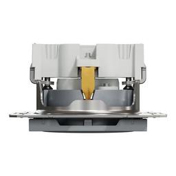 Розетка Schneider Electric ASFORA со штор. сталь (EPH2900262)