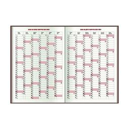 Еженедельник Economix датированный 2024 COLOR, А5 (E21840)