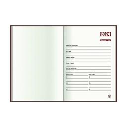 Тижневик Economix датований 2024 COLOR, А5 (E21841)