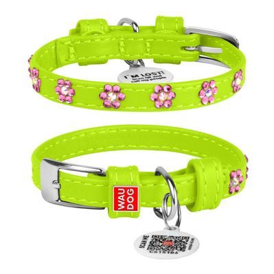 Нашийник для тварин WAUDOG Glamour з QR-паспортом "Квіти" S Ш 20 мм Д 30-39 см салатовий (32025)