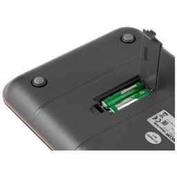 Весы кухонные Sencor SKS7076GD