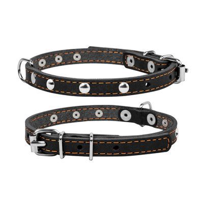 Нашийник для тварин Collar одинарний з прикрасами Ш 12 мм Д 24-32 см чорний (00231)