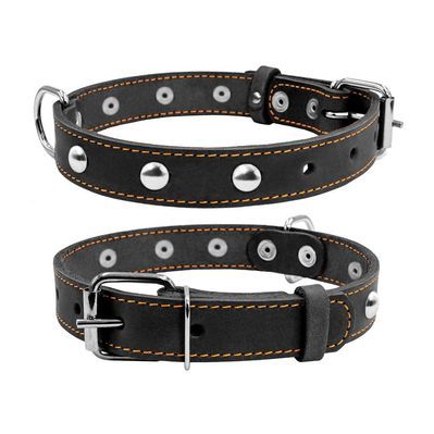 Нашийник для тварин Collar одинарний з прикрасами Ш 20 мм Д 32-40 см чорний (01351)