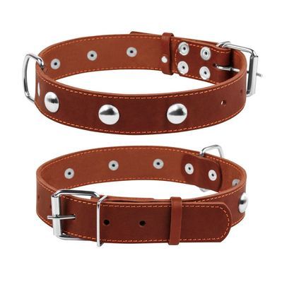 Нашийник для тварин Collar одинарний з прикрасами Ш 35 мм Д 48-63 см коричневий (02716)