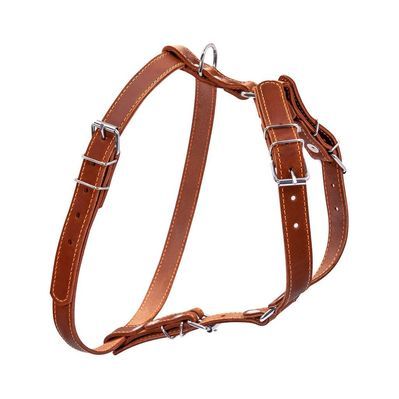 Шлея для собак Collar одинарна для малих та середніх порід Ш 20 мм А:40-56 см В:57-65 см коричнева (06366)