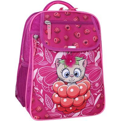 Рюкзак шкільний Bagland Відмінник 20 л. 143 малина 899 (0058070) (418214845)