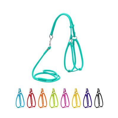 Шлея для собак WAUDOG Glamour кругла, з повідцем XXS ментолова (340113)