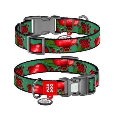 Нашийник для тварин WAUDOG Nylon з QR паспортом "Гранати" пластиковий фастекс XXL (284-4052)