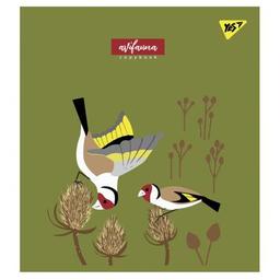 Зошит Yes А5 Avifauna 12 аркушів лінія (766802)
