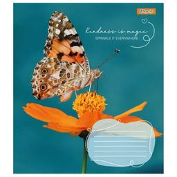 Тетрадь 1 вересня А5 1В Butterfly 36 листов линия (767340)