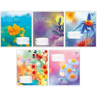 Зошит Yes А5 Nature colorful 48 аркушів клітинка (767111)