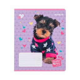 Тетрадь Kite Studio Pets 18 листов, линия (SP24-237)