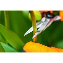 Ножницы садовые Neo Tools 18.5мм, 115г (15-215)