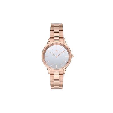 Наручные часы Ferro F21124A-C