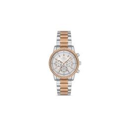 Наручные часы Ferro FL21258A-E