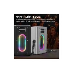 Акустическая система HiFuture MusicBox 100W Silver (musicbox.silver)