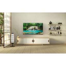 Телевізор Ergo 43JFS6800