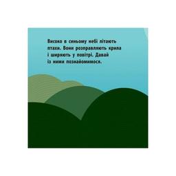 Книга Повітряний екіпаж - Мадлєн Роджерс Ранок (9789667490096)