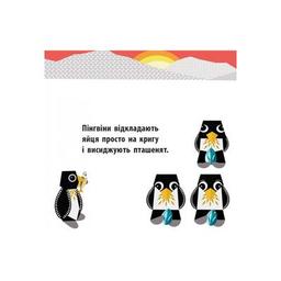 Книга Полярні друзі - Роджерс Мадлєн Ранок (9789667490126)