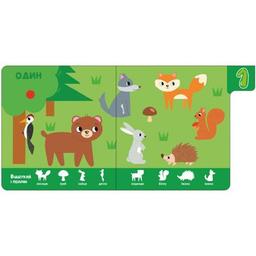 Книга Цифри. Знайди-но мене! Ранок (9789667511289)